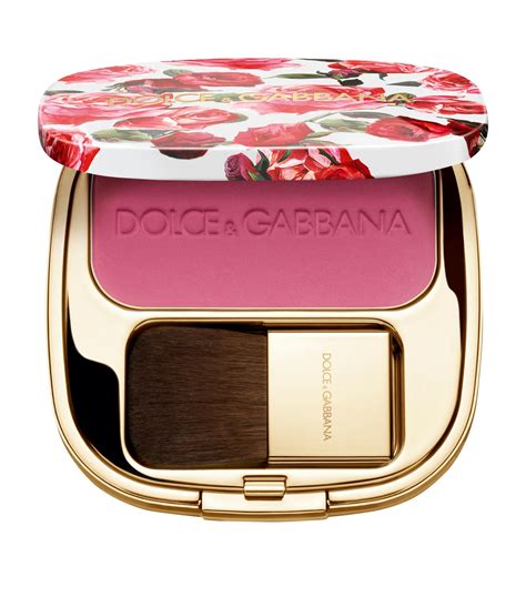 dolce & gabbana blush of roses